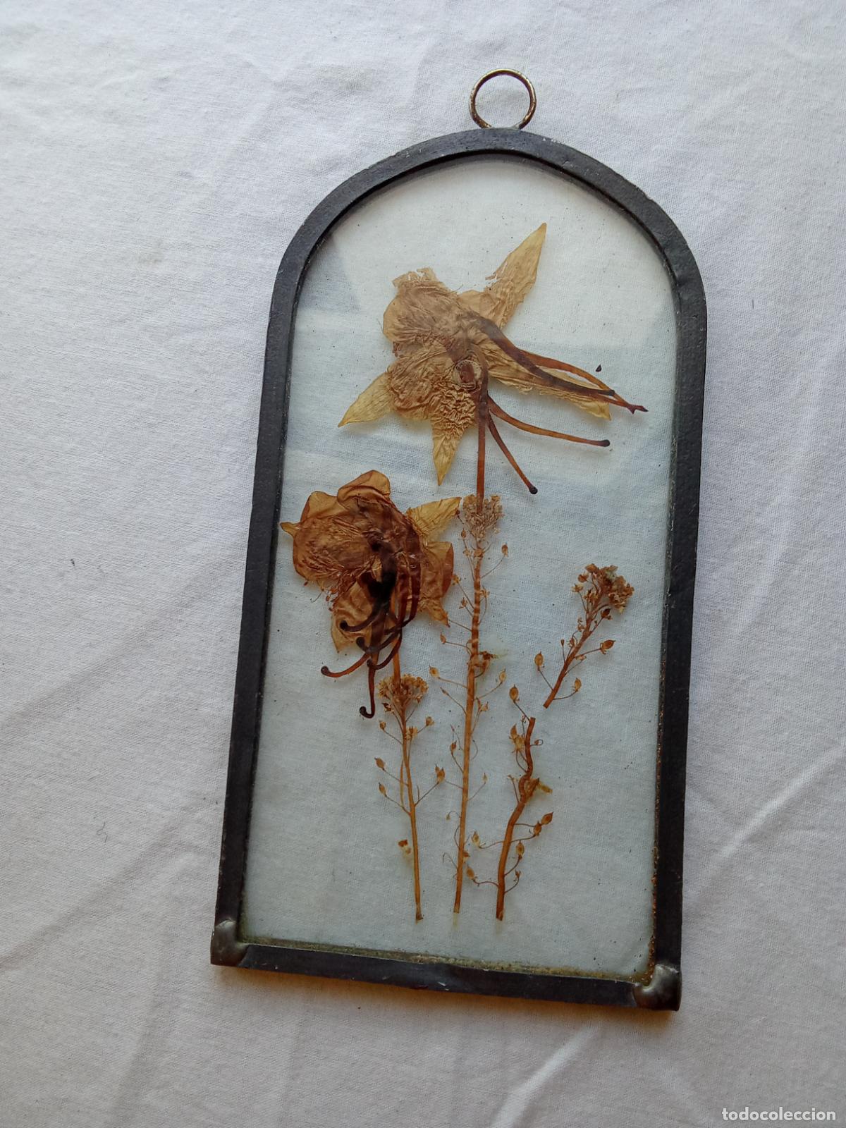 Antig&uuml;edades: Bonito y antiguo cristal emplomado con hojas secas dentro. Vitrina 9