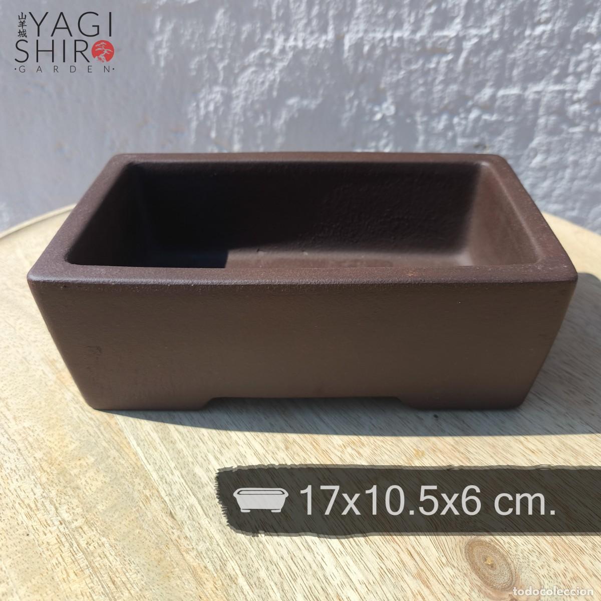 Antig&uuml;edades: Maceta Bonsai Yixing Marr&oacute;n