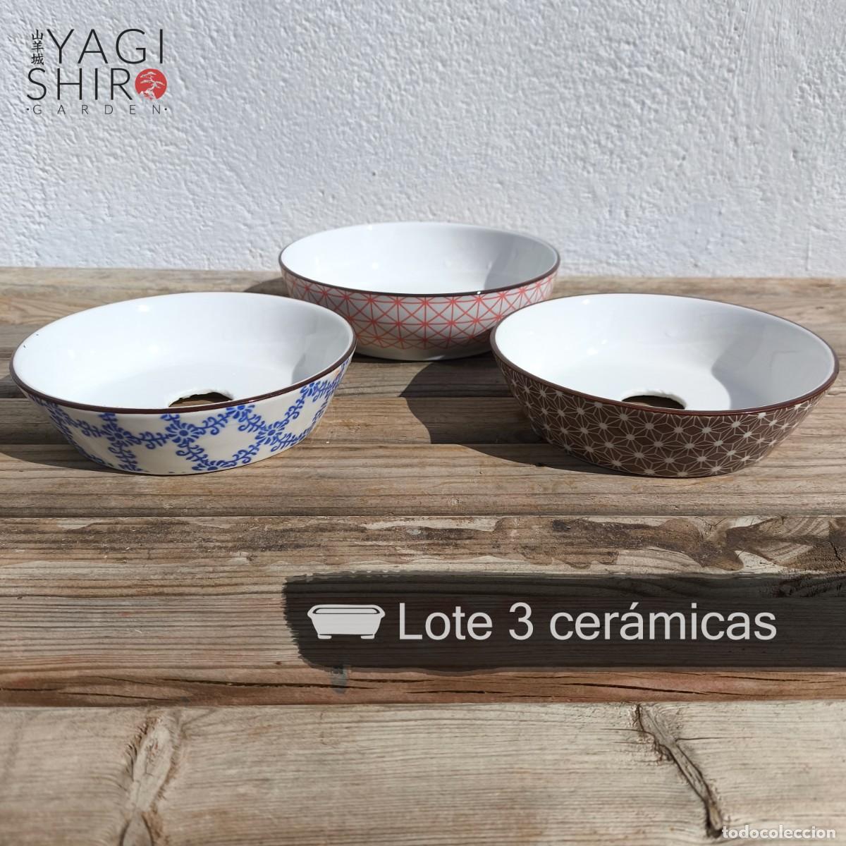 Antig&uuml;edades: Lote 3 cer&aacute;micas para bons&aacute;i - Foto 1
