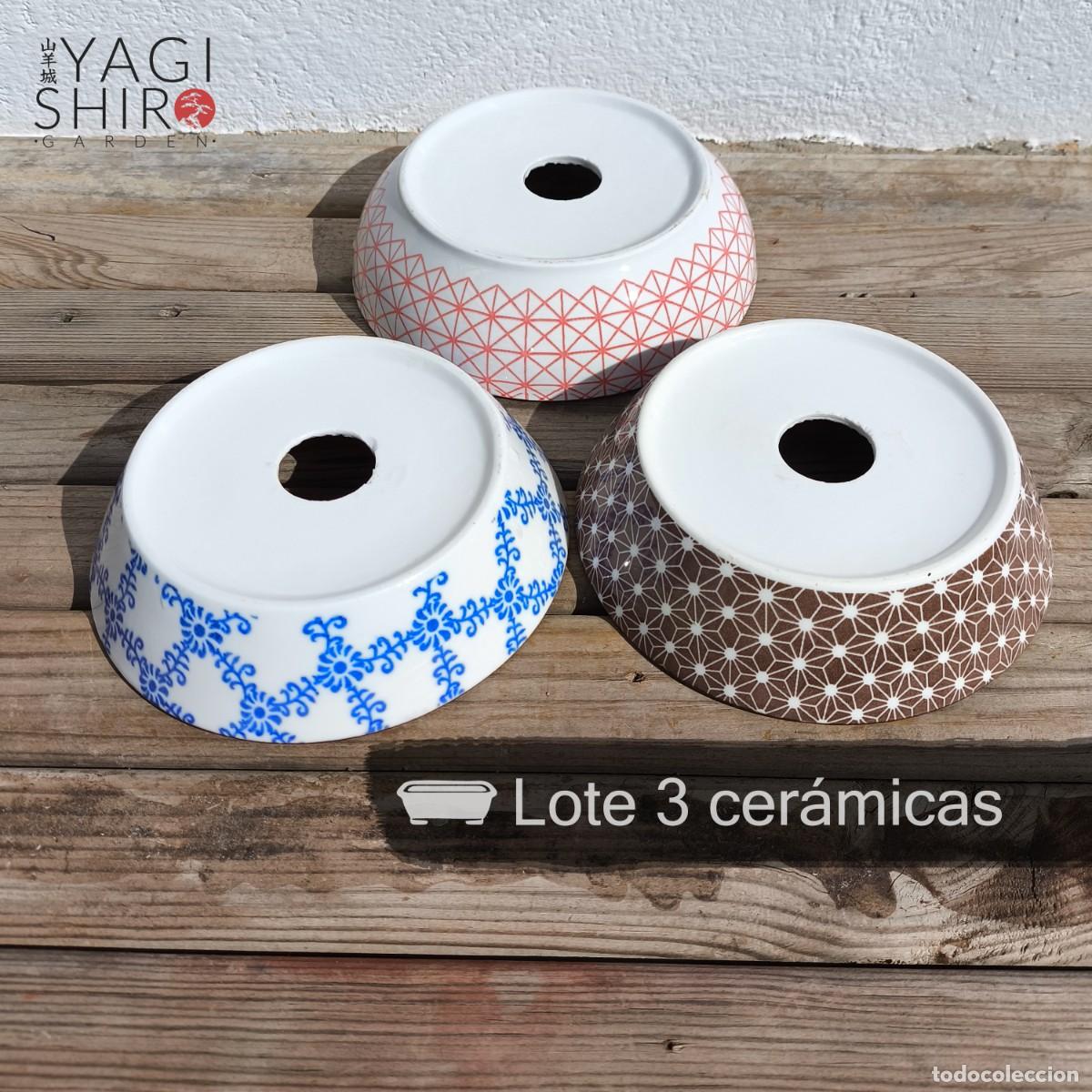 Antig&uuml;edades: Lote 3 cer&aacute;micas para bons&aacute;i - Foto 2