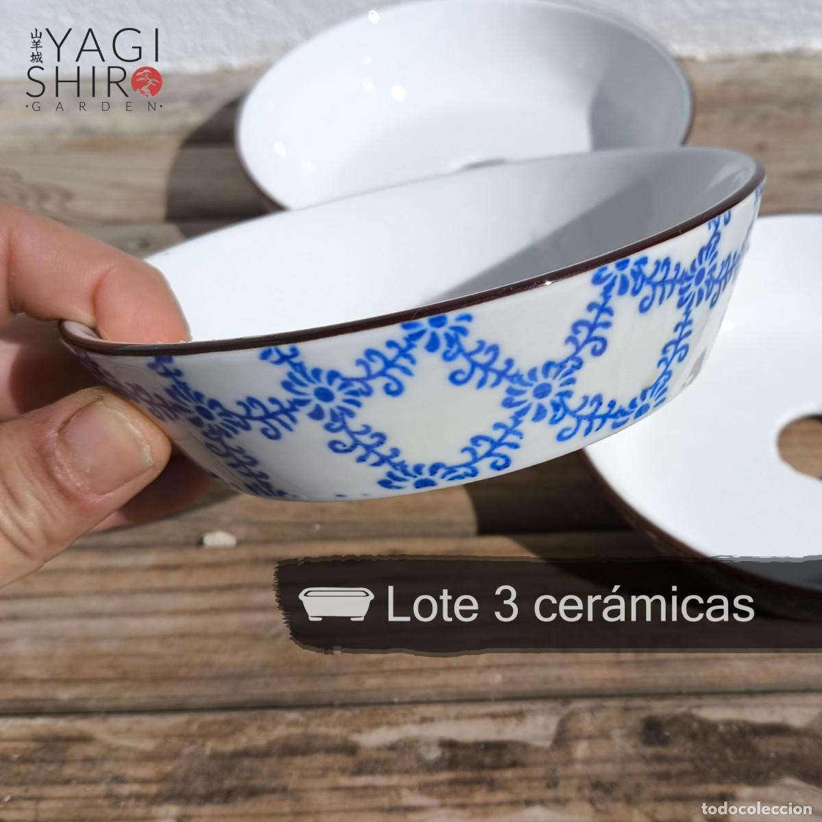 Antig&uuml;edades: Lote 3 cer&aacute;micas para bons&aacute;i - Foto 5