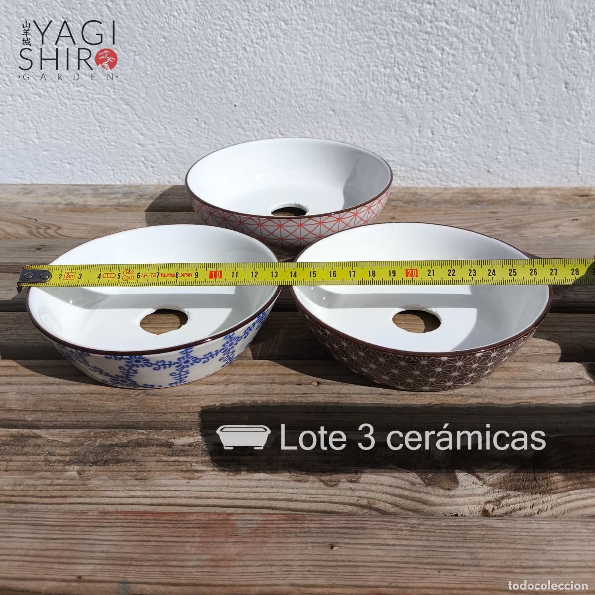 Antig&uuml;edades: Lote 3 cer&aacute;micas para bons&aacute;i - Foto 8