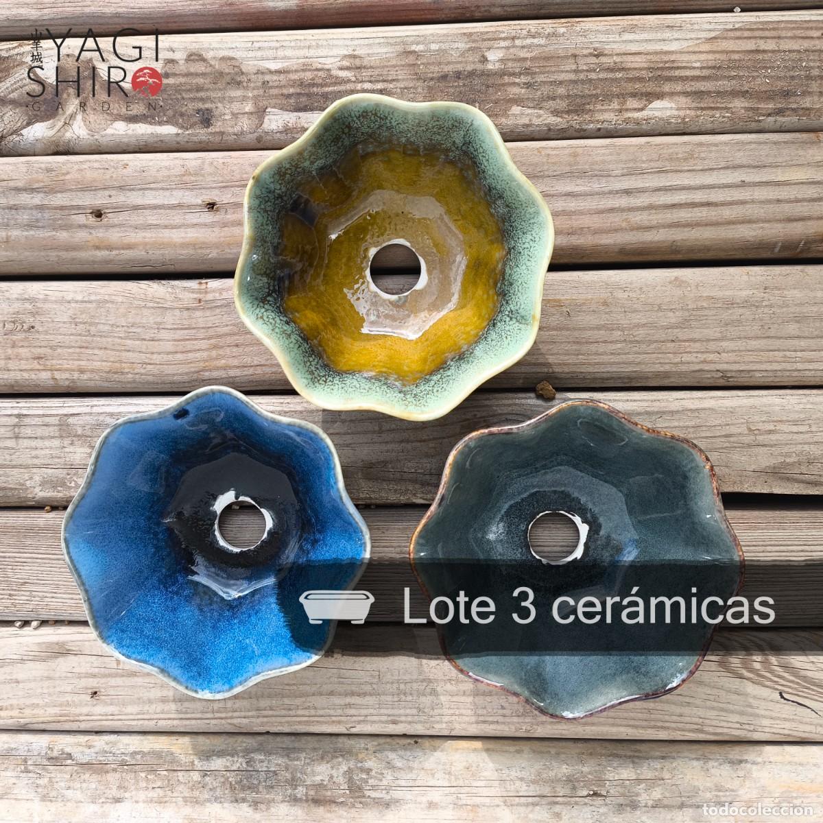 Antig&uuml;edades: Lote 3 Cer&aacute;micas para Bons&aacute;i - Foto 2