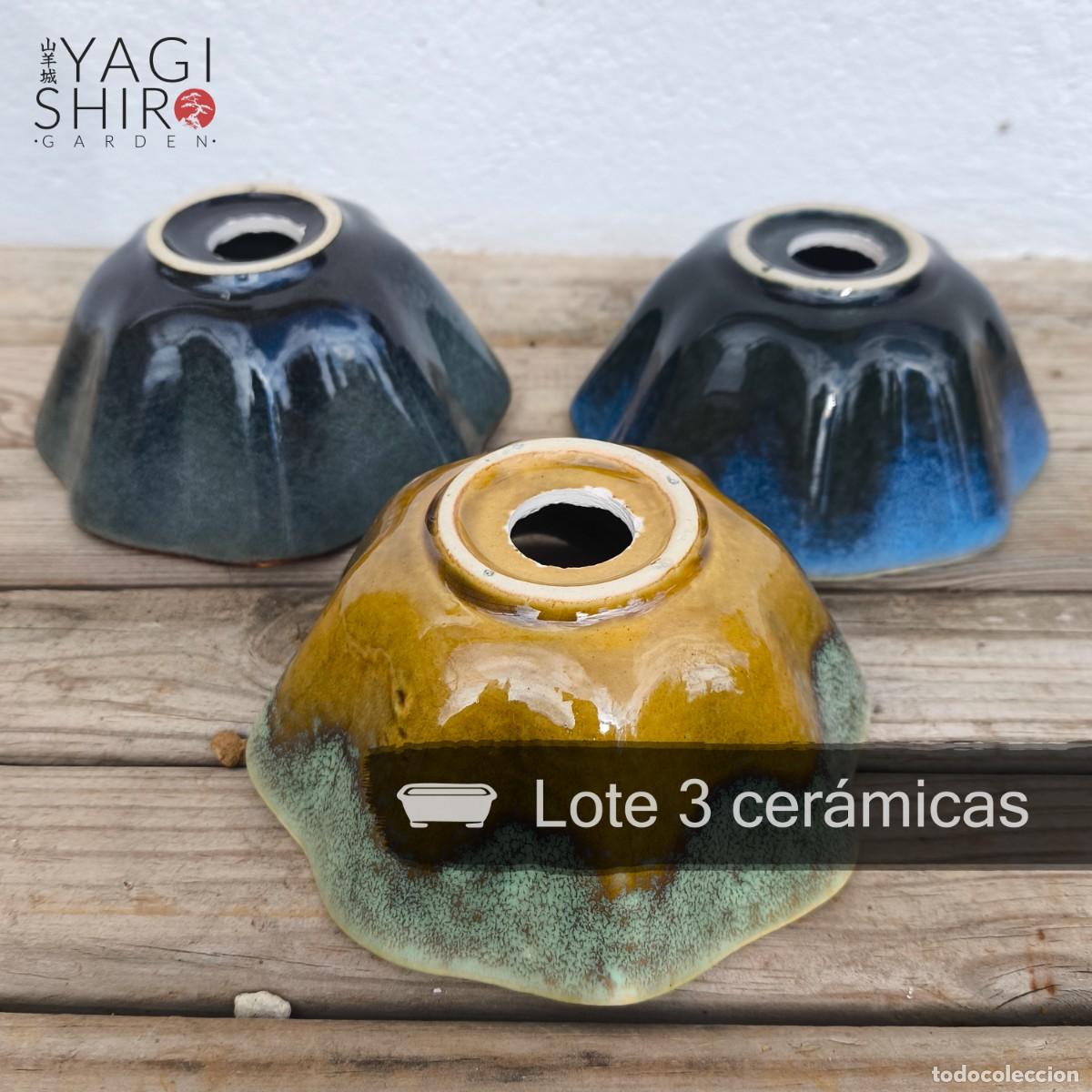 Antig&uuml;edades: Lote 3 Cer&aacute;micas para Bons&aacute;i - Foto 3