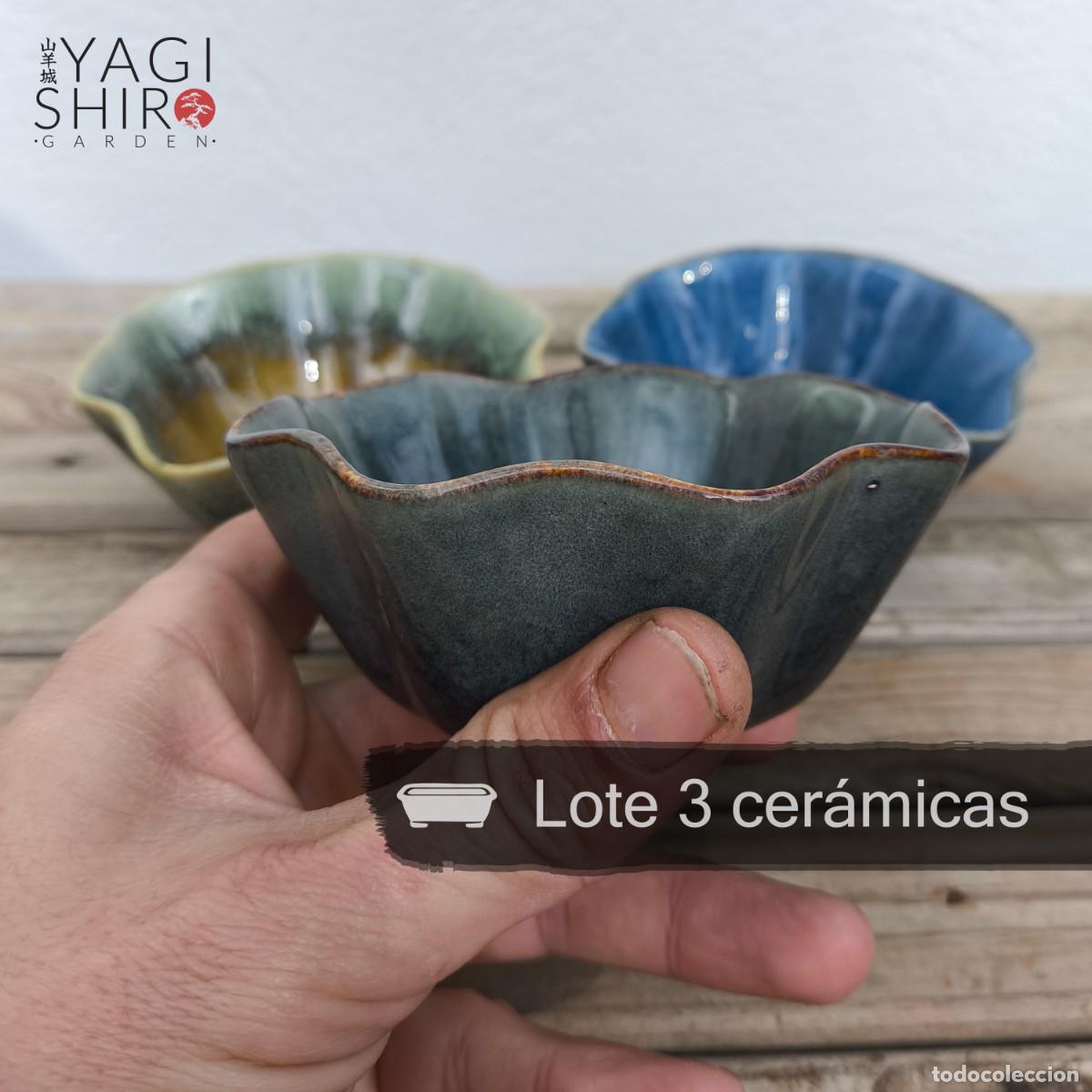 Antig&uuml;edades: Lote 3 Cer&aacute;micas para Bons&aacute;i - Foto 4