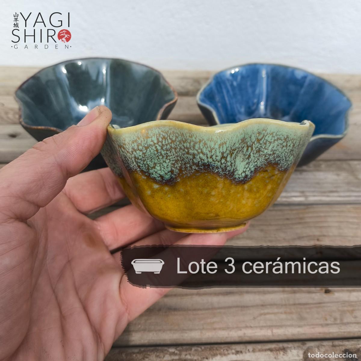 Antig&uuml;edades: Lote 3 Cer&aacute;micas para Bons&aacute;i - Foto 6