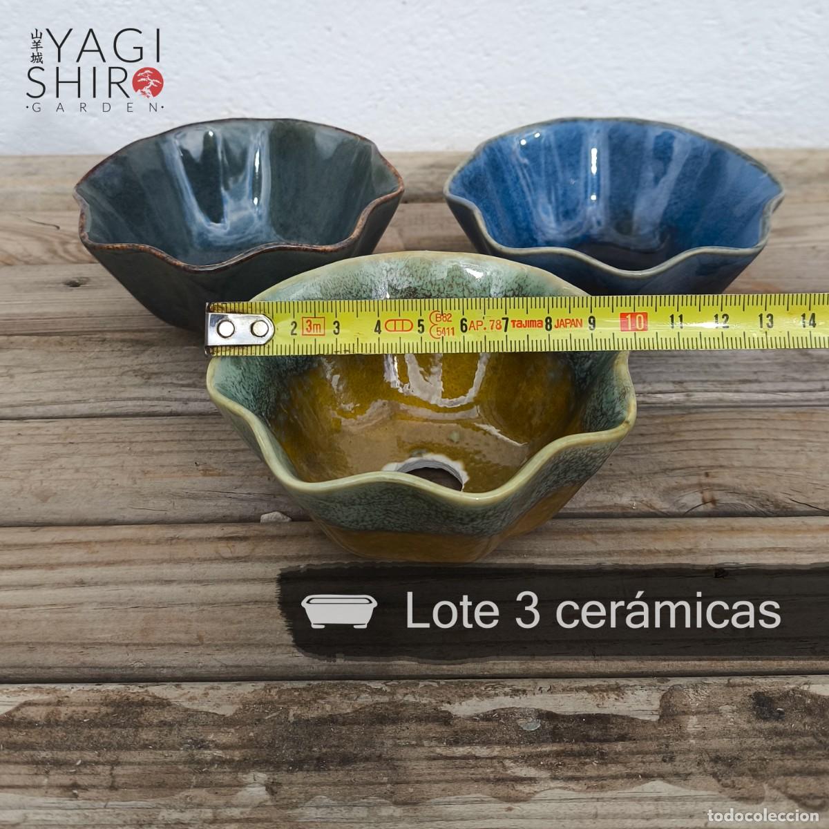 Antig&uuml;edades: Lote 3 Cer&aacute;micas para Bons&aacute;i - Foto 7