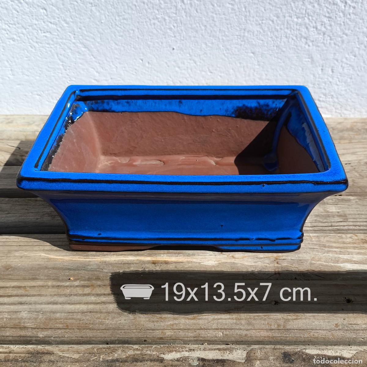 Antig&uuml;edades: Maceta Bons&aacute;i Cer&aacute;mica Azul 19x13.5x7 cm