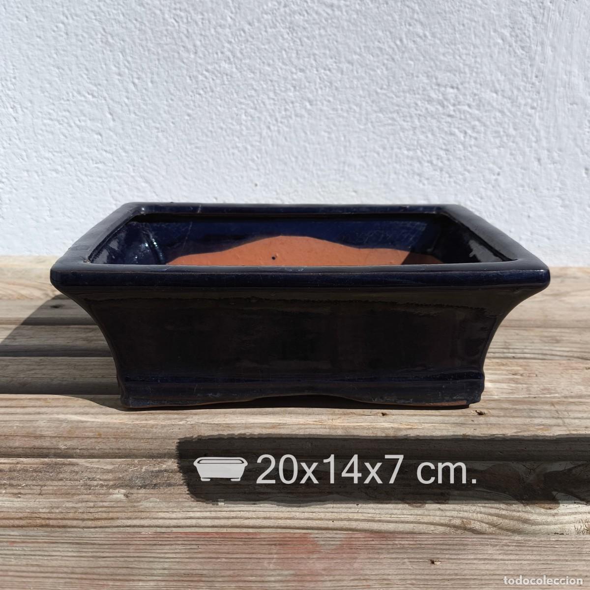 Antig&uuml;edades: Maceta Bons&aacute;i Azul Segunda Mano.