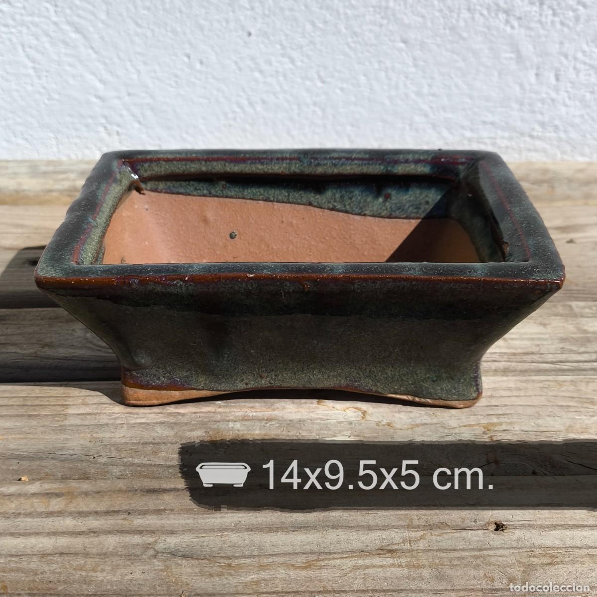 Antig&uuml;edades: Maceta Bonsai Cer&aacute;mica Esmaltada, segunda mano