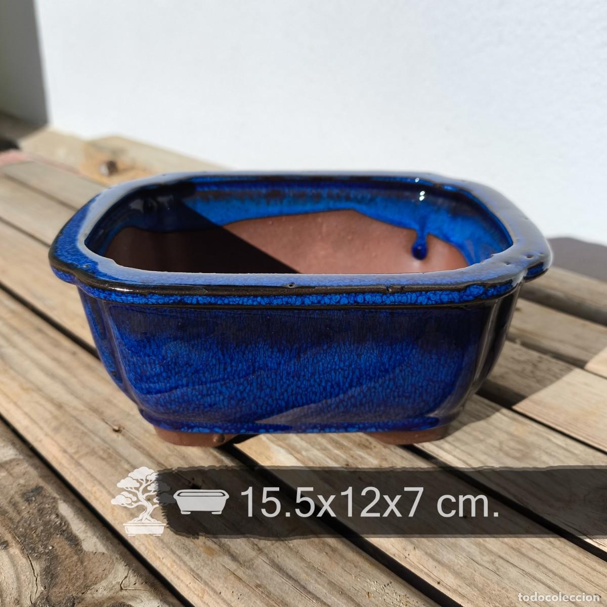 Antig&uuml;edades: Maceta Bonsai Cer&aacute;mica Azul 15.5x12x7 cm