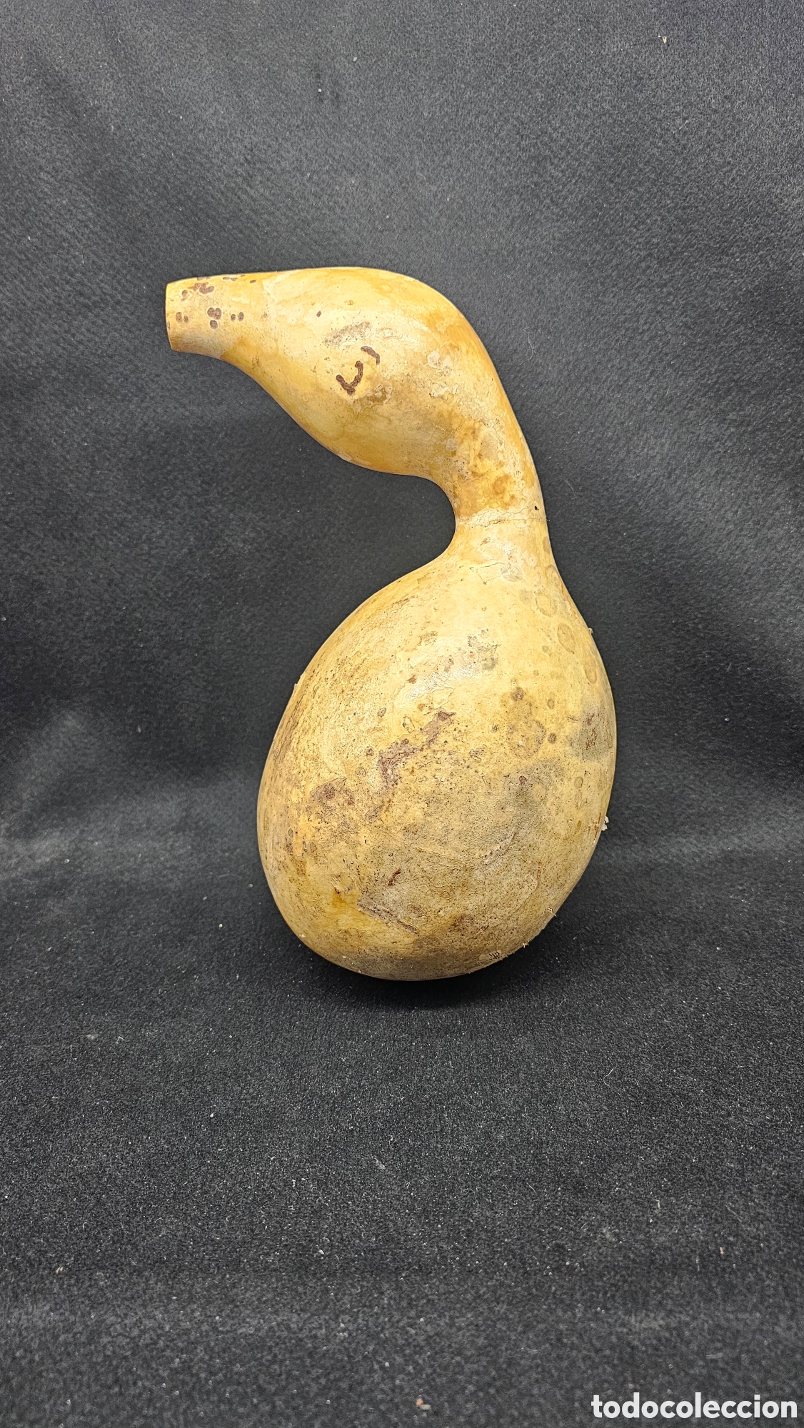 Antig&uuml;edades: Botella / recipiente de calabaza - Foto 1
