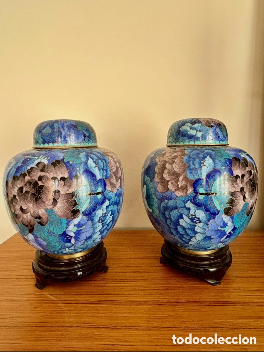 Tibotes cloisonne azules