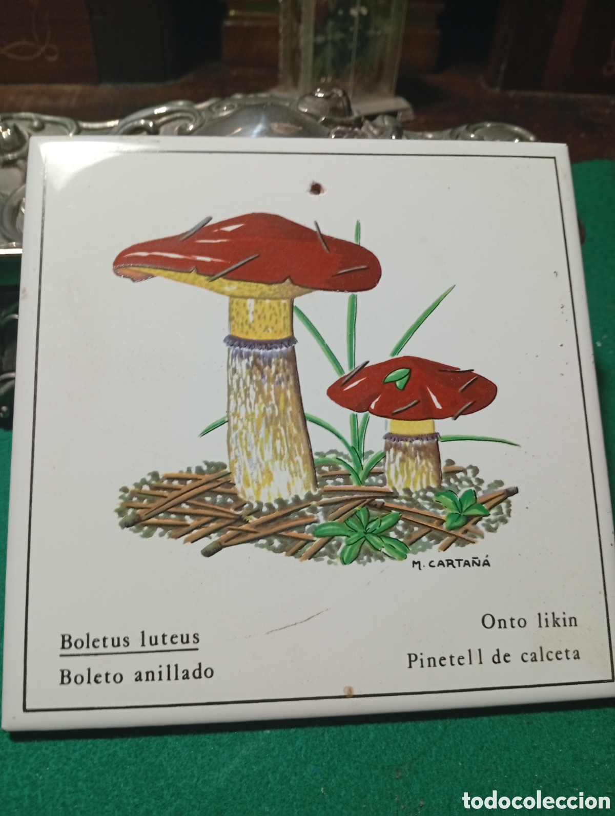 Antig&uuml;edades: Baldosa con ilustraci&oacute;n de setas