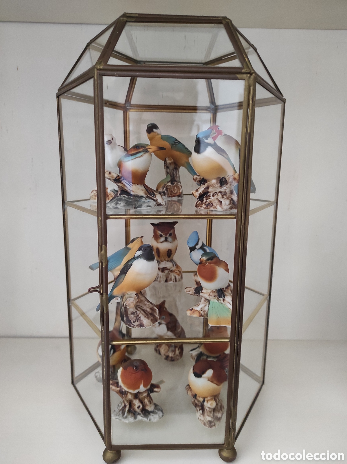 Antig&uuml;edades: Pajaritos porcelana campodimonte