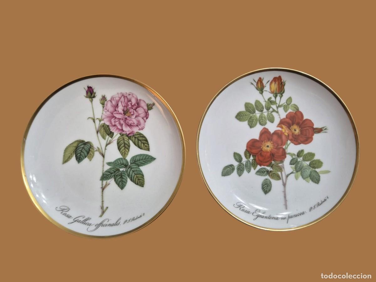 Antiques: Pareja de platos decorativos Hutschenreuther, rosas de Redout&eacute; (Alemania)