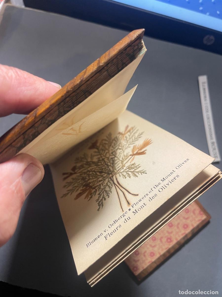 Antig&uuml;edades: ANTIGUO LIBRO/LIBRETA - JERUSALEM FLORES DE TIERRA SANTA . BLUMEN DES HEILIGEN LANDE - FLEURS DE LA