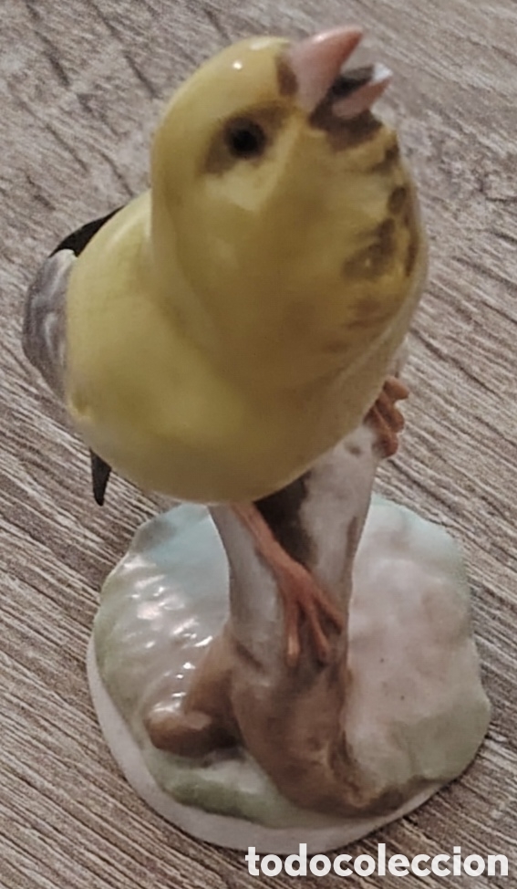 Antig&uuml;edades: Figura porcelana colecci&oacute;n canario cantando