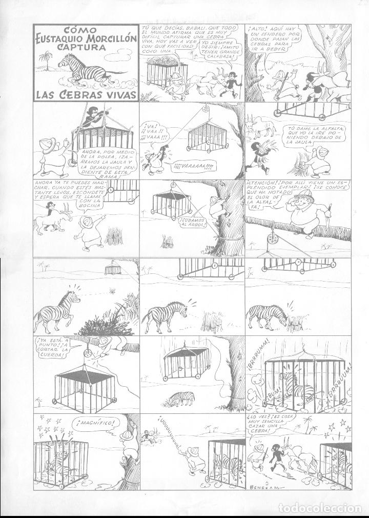 C&oacute;mics: C&oacute;mo Eustaquio Morcill&oacute;n captura las cebras vivas - Foto 1