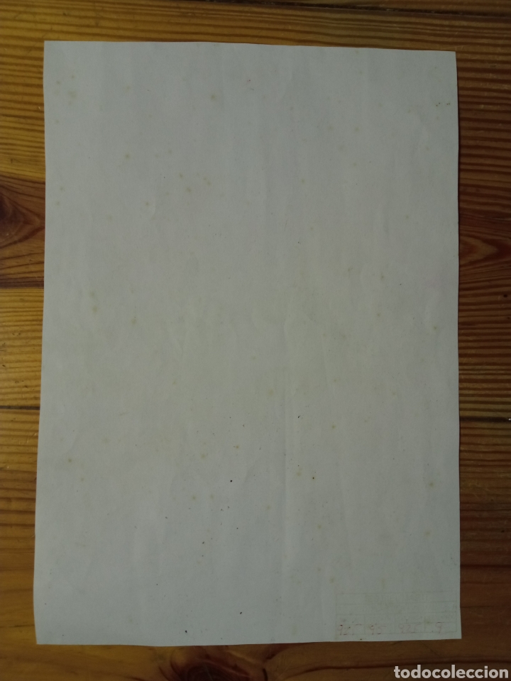 C&oacute;mics: 28 cm - Antiguo dibujo original Homer Simpson - Foto 4