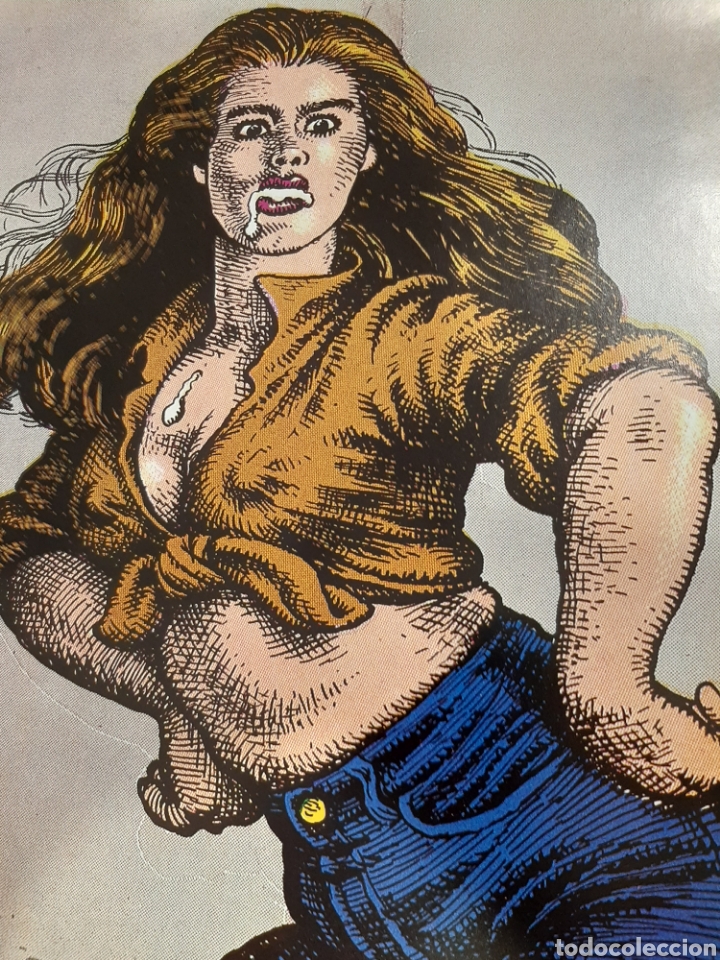 C&oacute;mics: Poster de Robert Crumb para la Historia de los C&oacute;mics, sin doblar, protocolo del editor - Foto 2