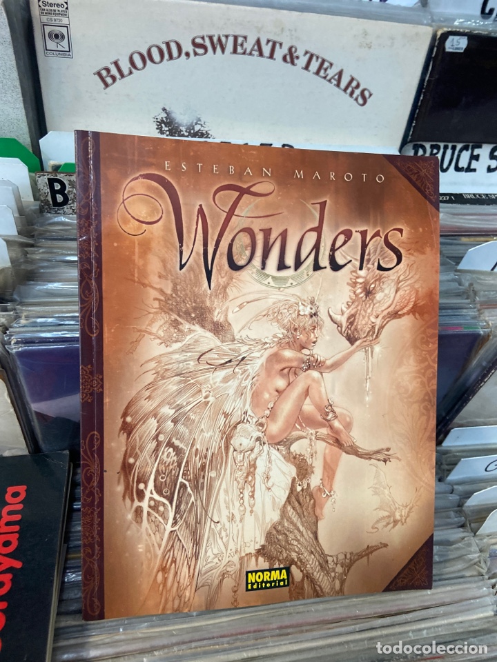 C&oacute;mics: Esteban Maroto Wonders - Foto 1