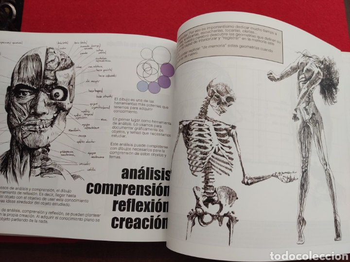 C&oacute;mics: Aprende a dibujar con &Aacute;ngel luis tendero - Foto 2