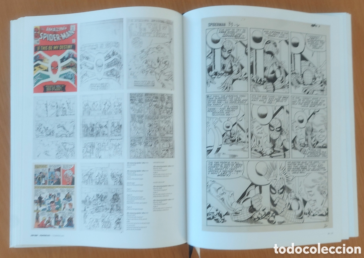 C&oacute;mics: Ditko Unleashed Ed. IDW - Foto 9