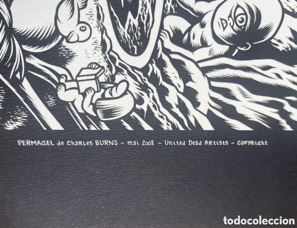 C&oacute;mics: Permagel - Charles Burns - Foto 19