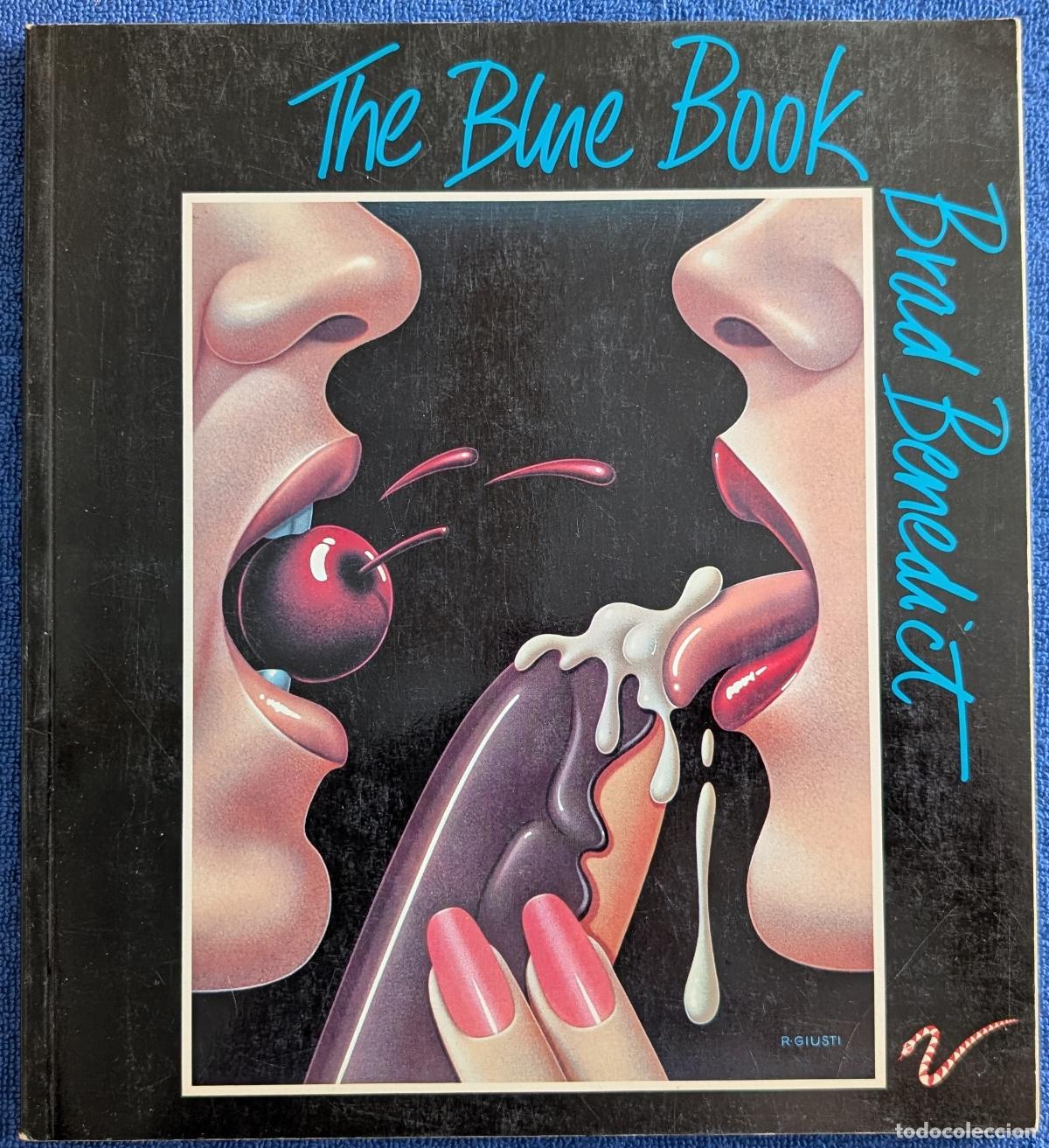 C&oacute;mics: The Blue Book - Brad Benedict - Vermilion (2007) - Foto 1