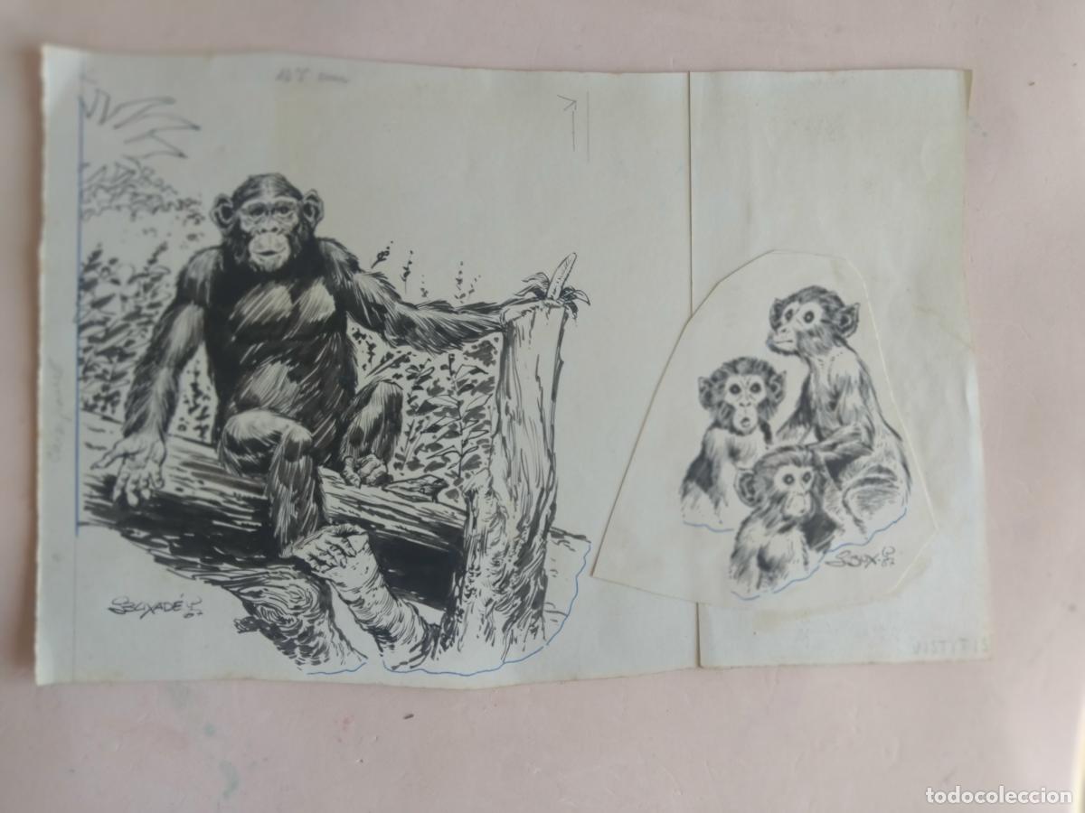 C&oacute;mics: PAGINA ORIGINAL DE JORDI BUXADE. 1967. - Foto 1