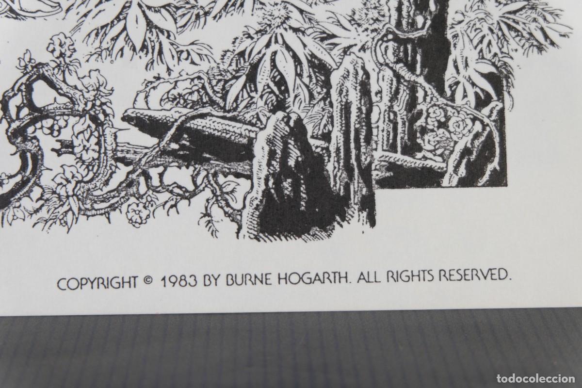 C&oacute;mics: 6 l&aacute;minas en blanco y negro de Burne Hogarth Gaz/1500 - Foto 7