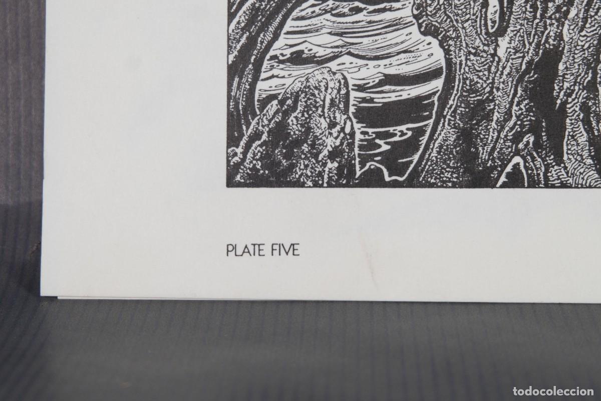 C&oacute;mics: 6 l&aacute;minas en blanco y negro de Burne Hogarth Gaz/1500 - Foto 19