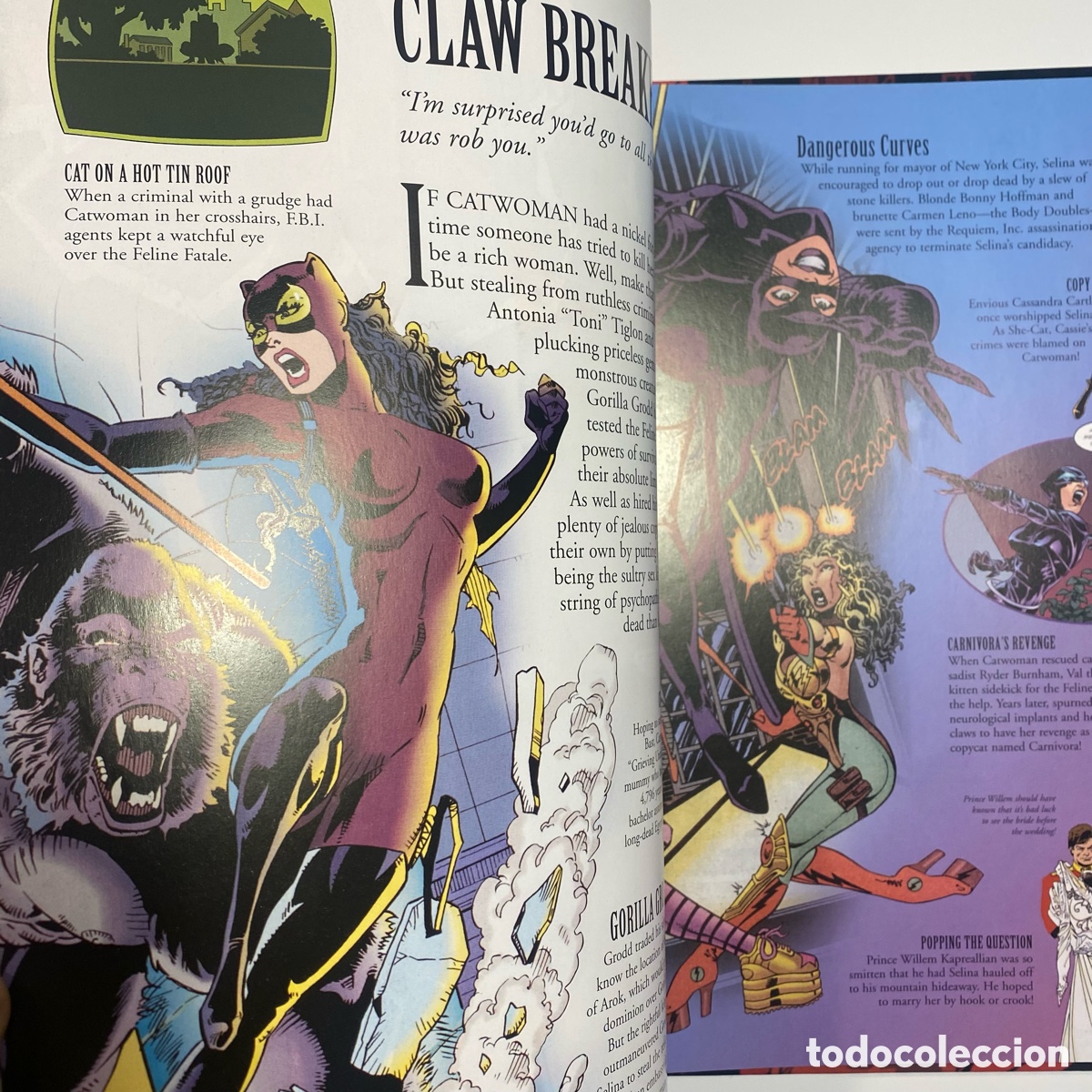 C&oacute;mics: CatWoman (2004) tapa dura. &ldquo;The Visual Guide&rdquo; - Foto 8