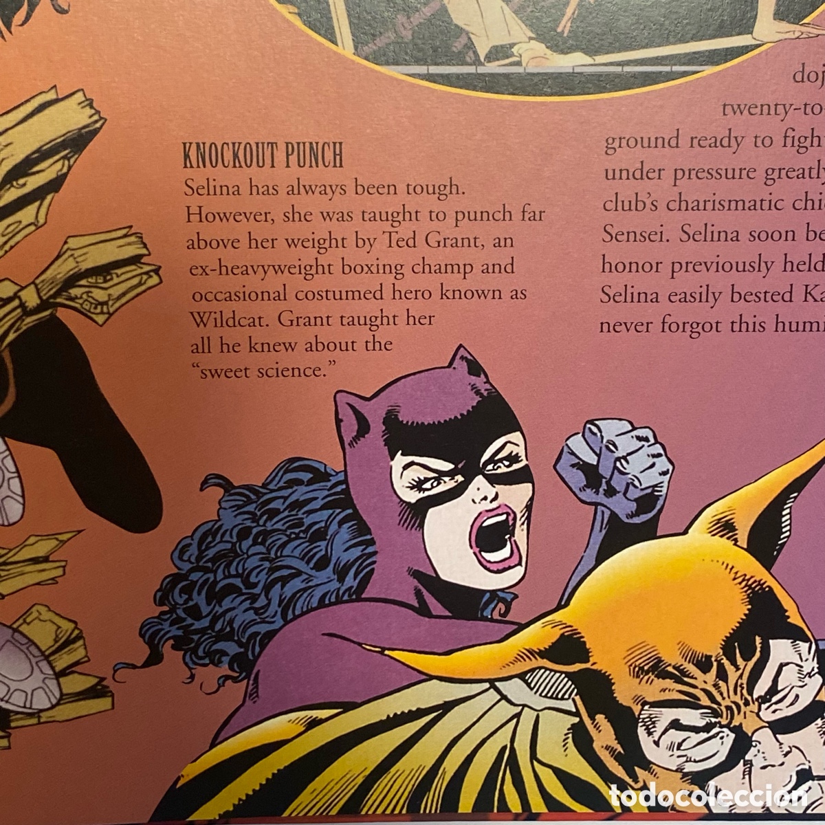 C&oacute;mics: CatWoman (2004) tapa dura. &ldquo;The Visual Guide&rdquo; - Foto 10
