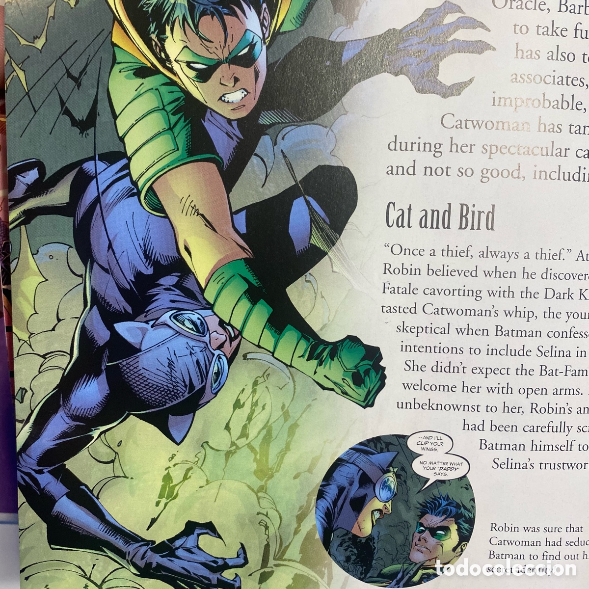 C&oacute;mics: CatWoman (2004) tapa dura. &ldquo;The Visual Guide&rdquo; - Foto 13