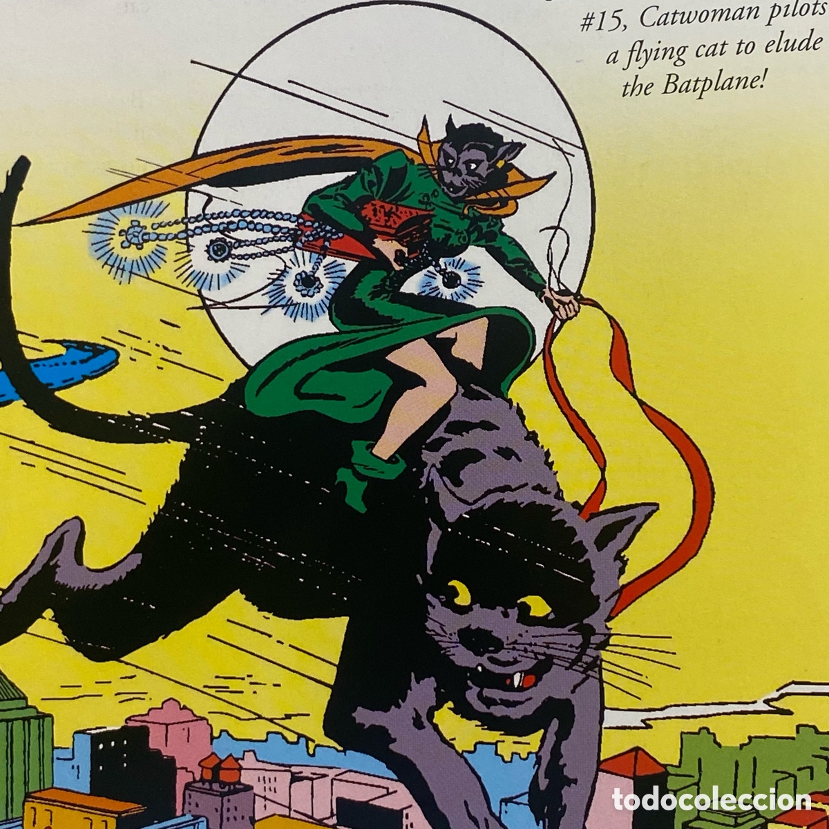 C&oacute;mics: CatWoman (2004) tapa dura. &ldquo;The Visual Guide&rdquo; - Foto 16