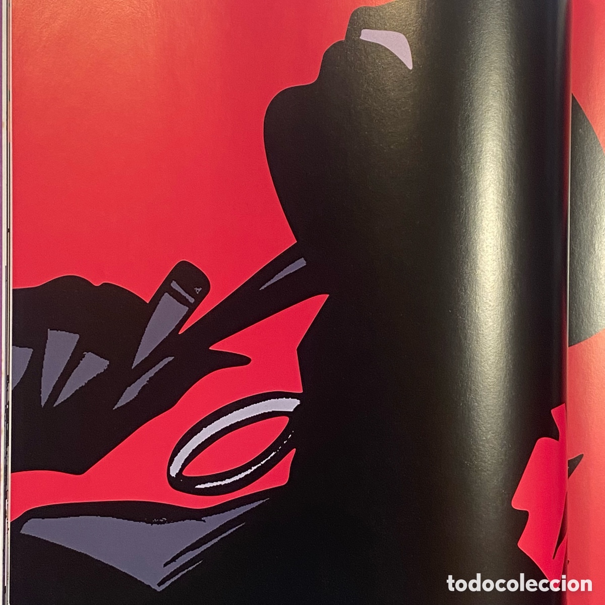 C&oacute;mics: CatWoman (2004) tapa dura. &ldquo;The Visual Guide&rdquo; - Foto 17