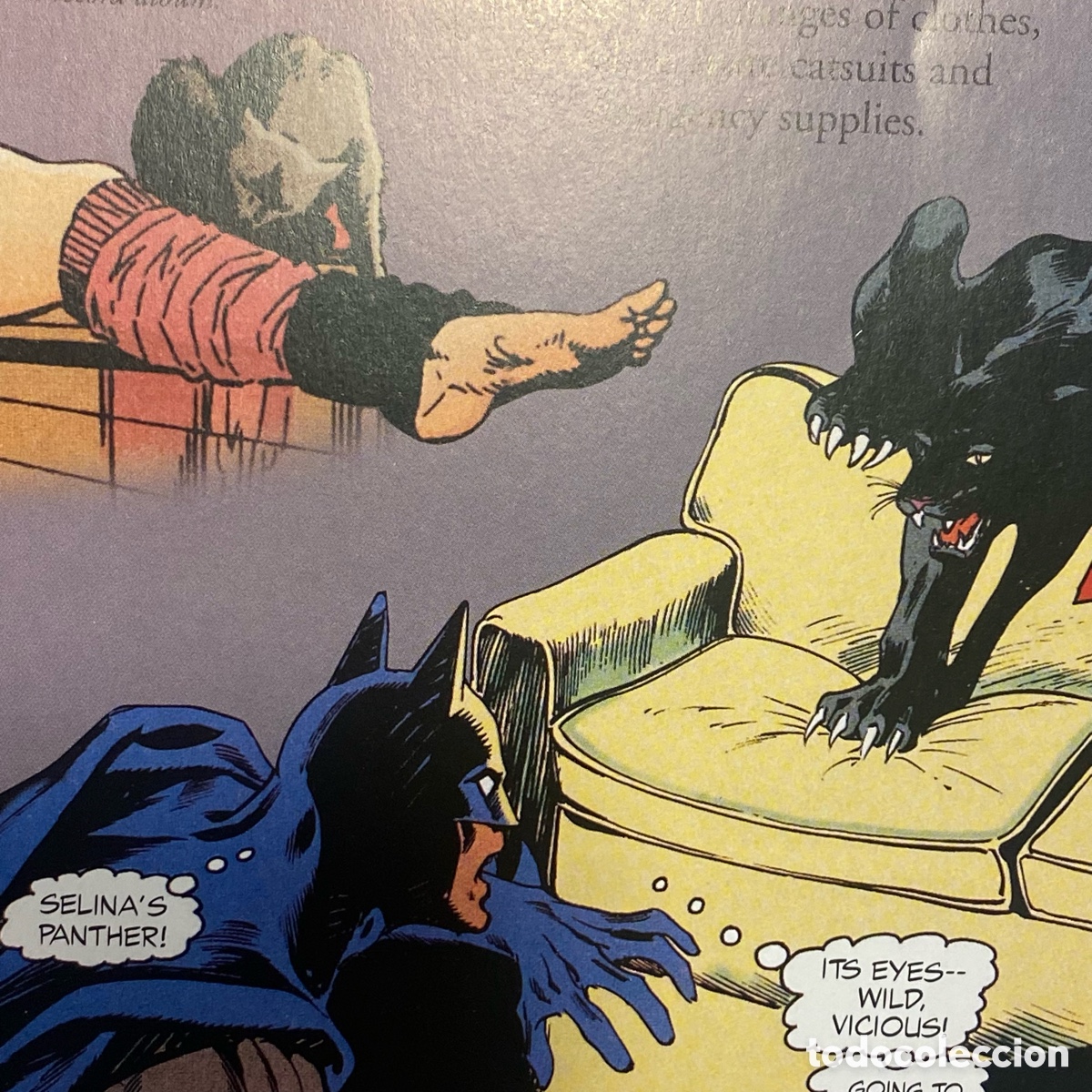 C&oacute;mics: CatWoman (2004) tapa dura. &ldquo;The Visual Guide&rdquo; - Foto 19