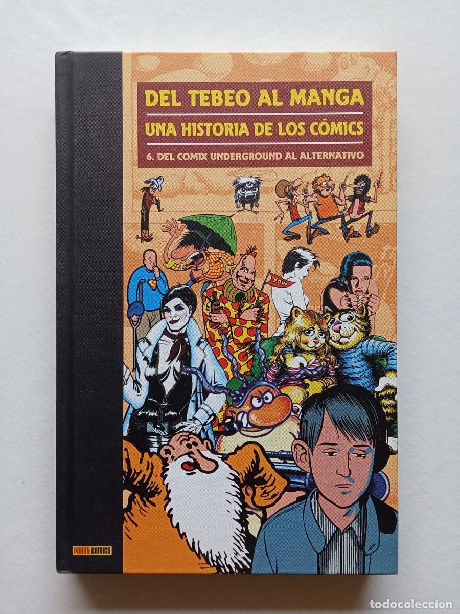 C&oacute;mics: DEL TEBEO AL MANGA Una Hist&oacute;ria de los C&oacute;mics N&ordm; 6 DEL COMIC UNDERGROUND AL ALTERNATIVO
