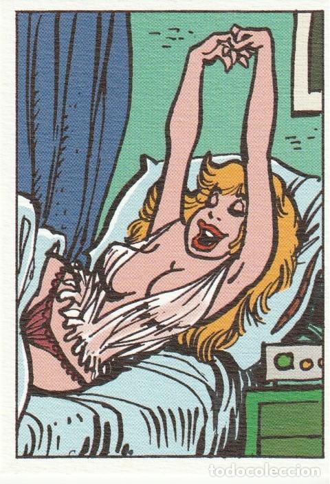 Comics: EX LIBRIS NATACHA FRAN&Ccedil;OIS WALTH&Eacute;RY