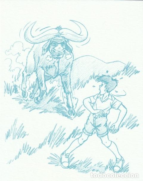 Comics: EX LIBRIS SPIROU YOANN CHIVARD 2016