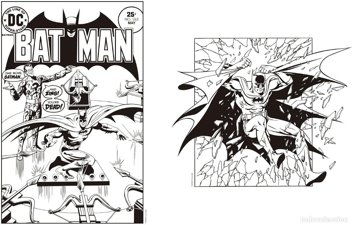 C&oacute;mics: Superh&eacute;roes DC Comics (DESIDERATA EDICIONES). 100 l&aacute;minas - Foto 3