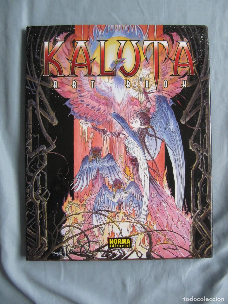 Comics: MIKE KALUTA - ART BOOK
