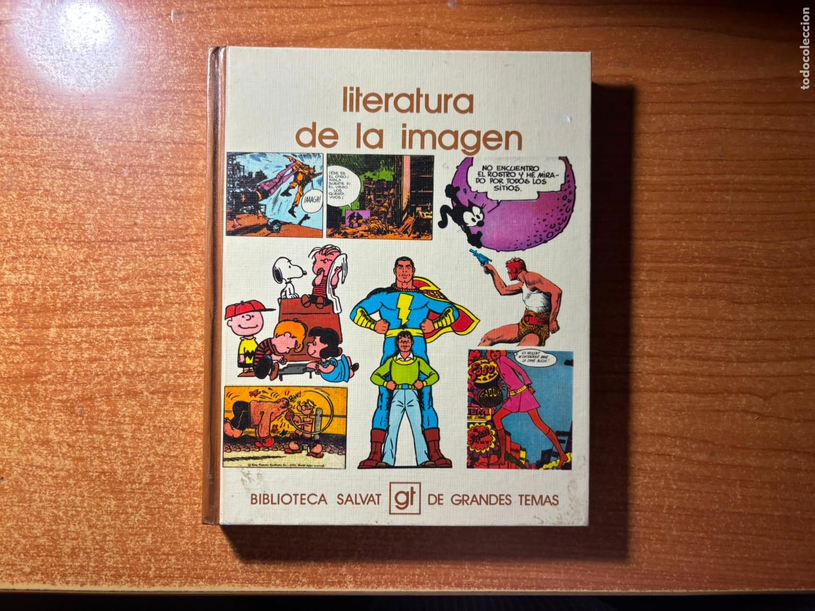 C&oacute;mics: GRANDES TEMAS LITERATURA DE LA IMAGEN N&ordm; 57 EDITORIAL SALVAT