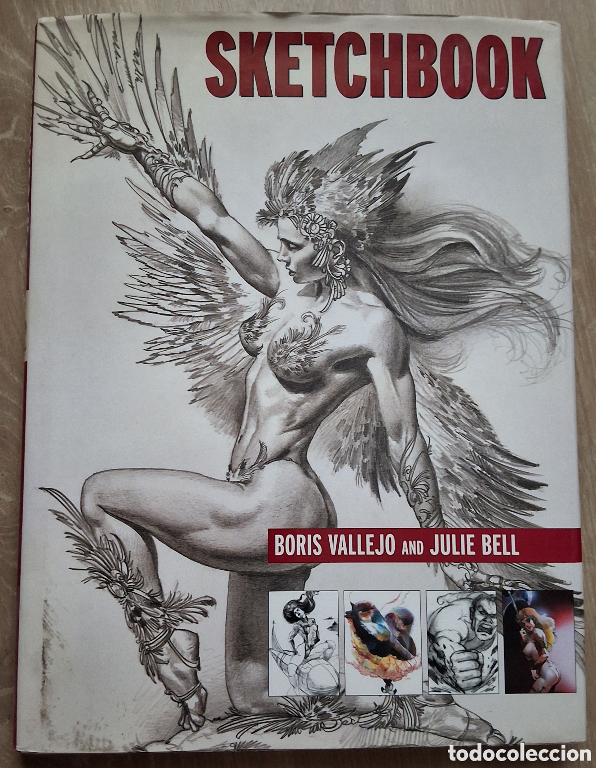 C&oacute;mics: Sketchbook libro ilustracion Boris Vallejo Julie Bell a&ntilde;o 2001 edita paper tiger