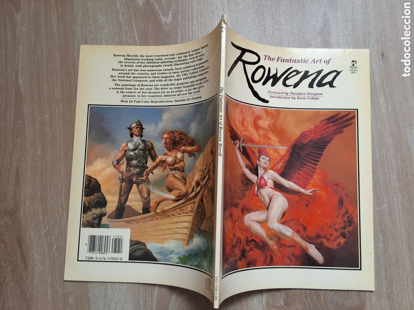 C&oacute;mics: Rowena fant&aacute;stic art libro ilustracion a&ntilde;o 1983/9