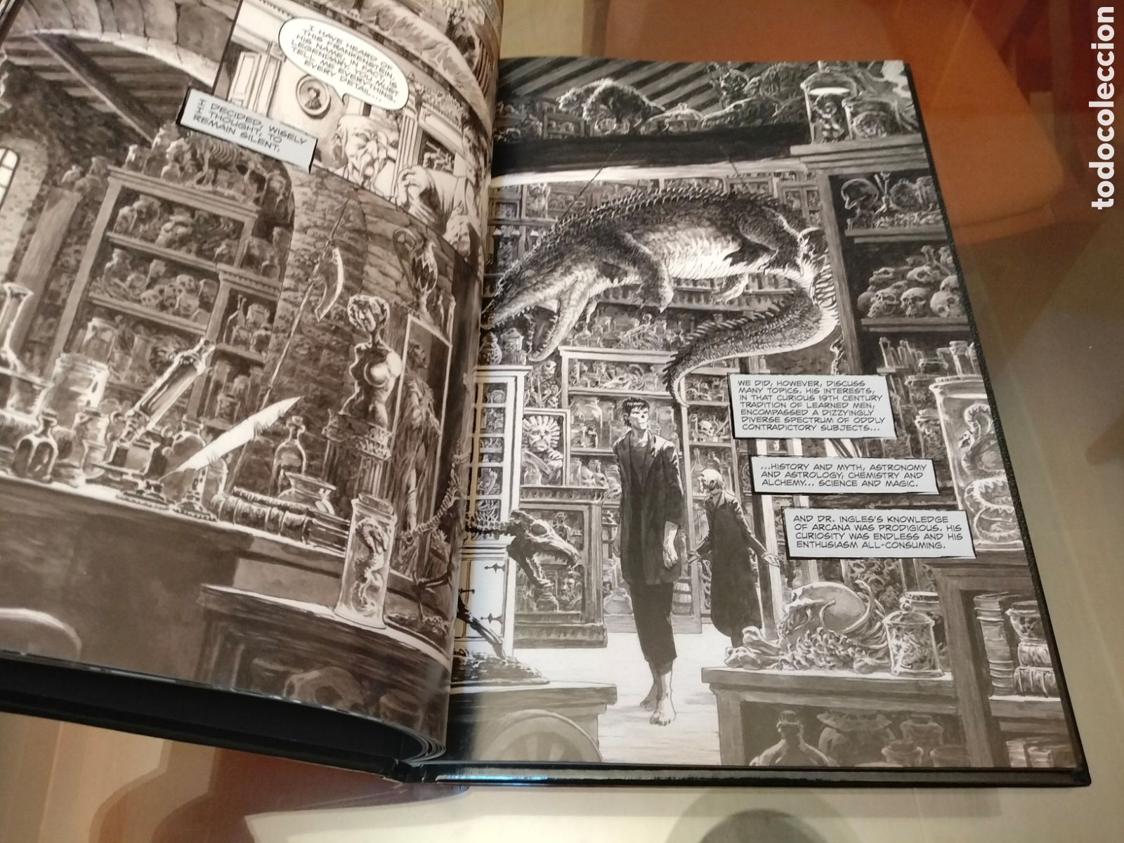 C&oacute;mics: Berni Wrightson Frankenstein Alive Alive The Complete Collection IDW - Foto 5