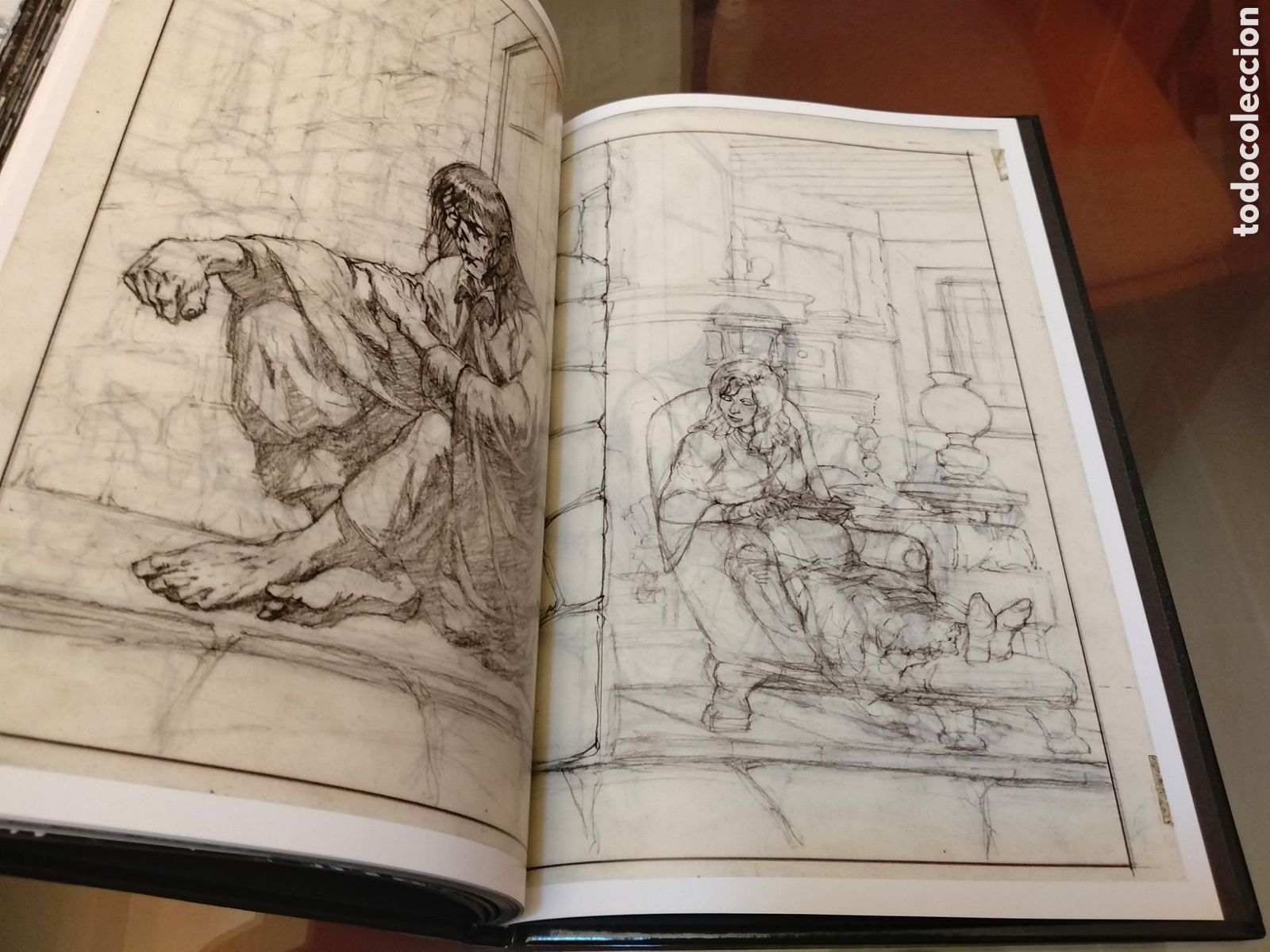C&oacute;mics: Berni Wrightson Frankenstein Alive Alive The Complete Collection IDW - Foto 7