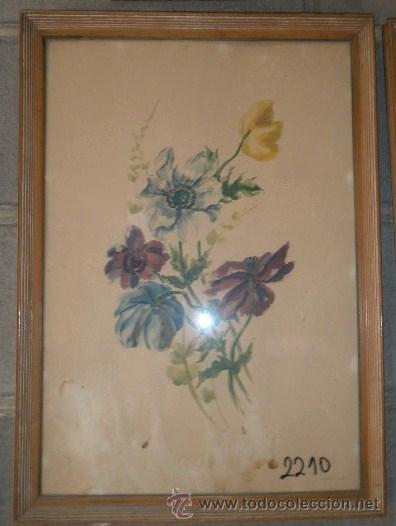 Arte: Cuadro con acuarela, mide 54 x 38 cms - Foto 1